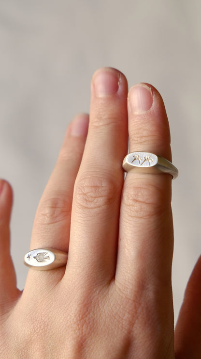 Deux amis ring